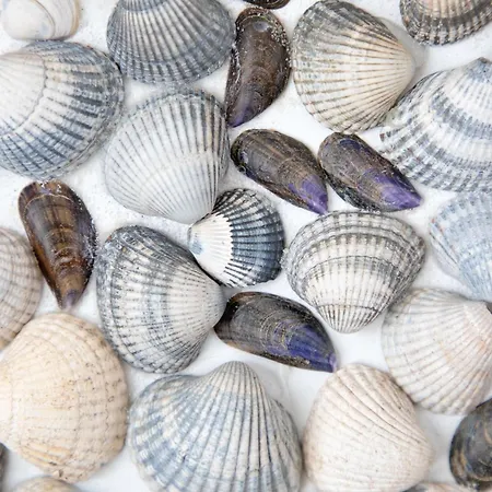 Gasthuis Wulpenweid Bed&parking